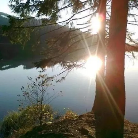 Detached In The Wonderfully Beautiful Harz *