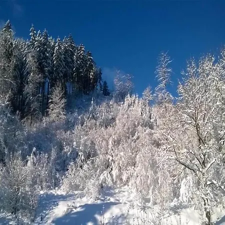 Detached In The Wonderfully Beautiful Harz * Kamschlacken