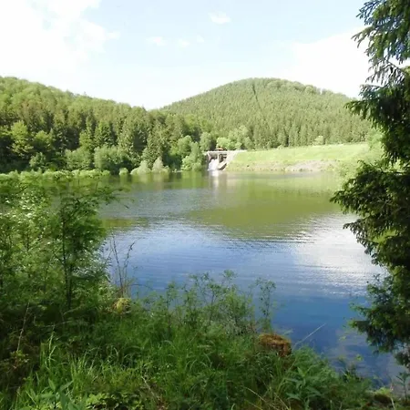 Detached In The Wonderfully Beautiful Harz
