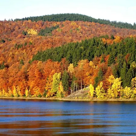 Detached In The Wonderfully Beautiful Harz