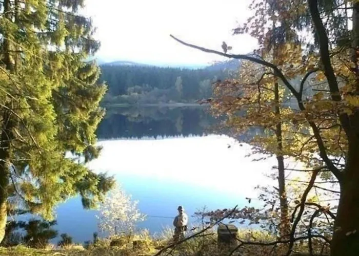 Дом отдыха Detached In The Wonderfully Beautiful Harz *