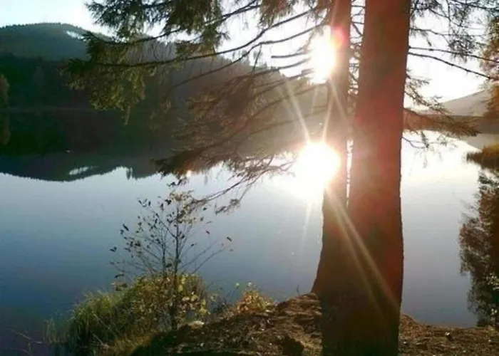 Detached In The Wonderfully Beautiful Harz *