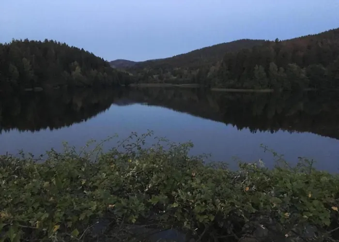 Дом отдыха Detached In The Wonderfully Beautiful Harz