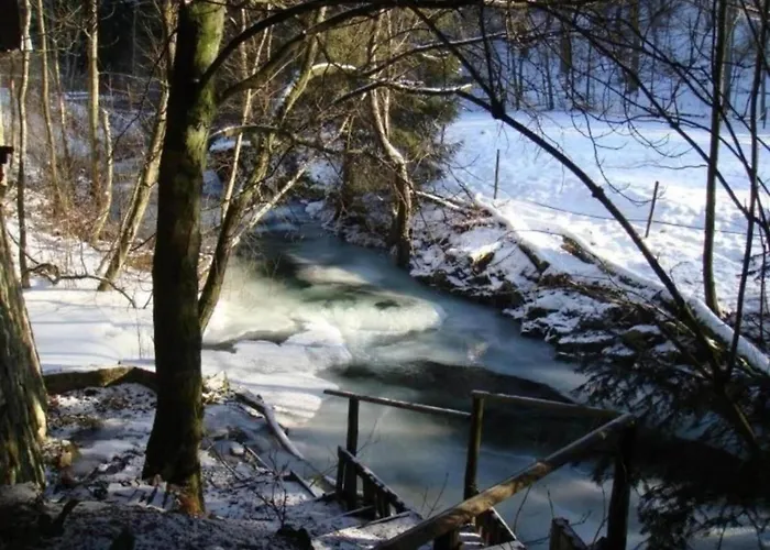 Дом отдыха Detached In The Wonderfully Beautiful Harz *