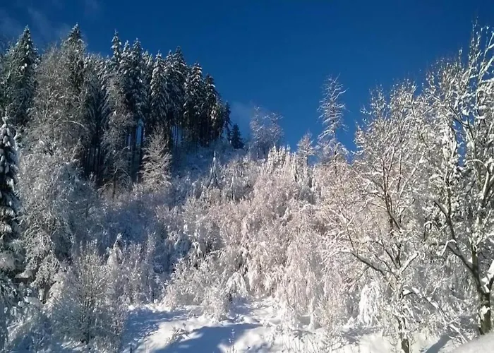 Detached In The Wonderfully Beautiful Harz * Kamschlacken