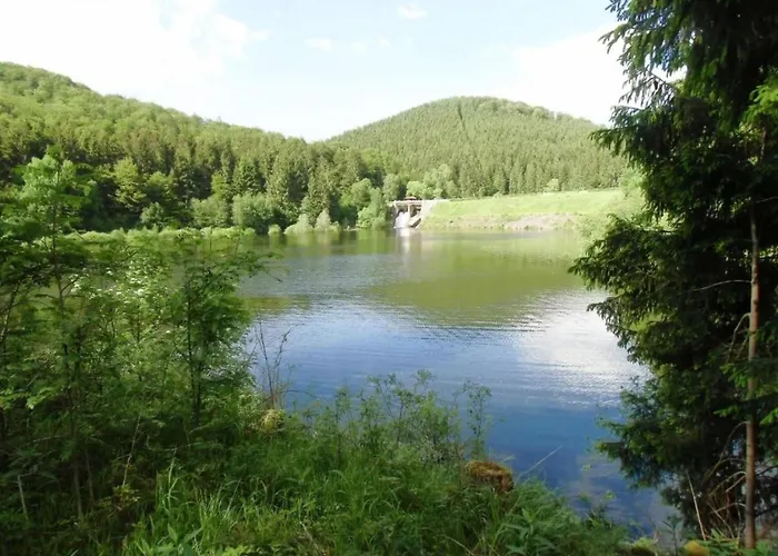 Detached In The Wonderfully Beautiful Harz