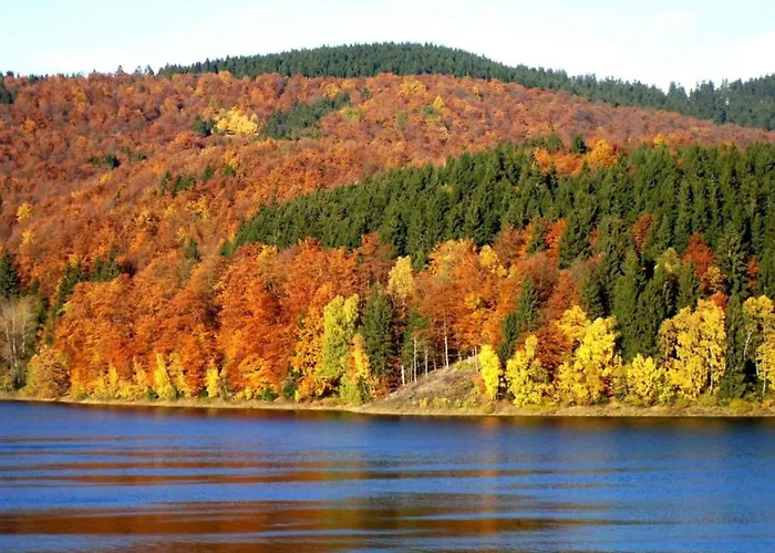 Detached In The Wonderfully Beautiful Harz